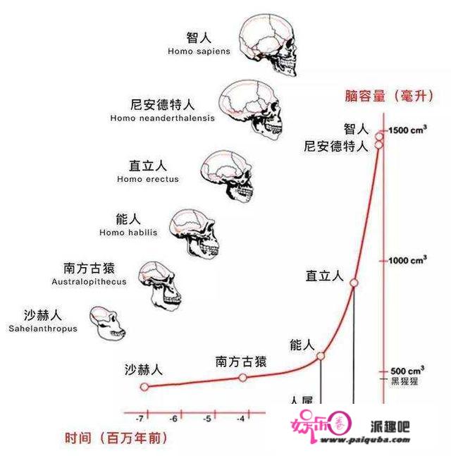 人类身体构造有哪些不合理之处？