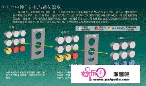 人类身体构造有哪些不合理之处？