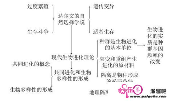 人类身体构造有哪些不合理之处？