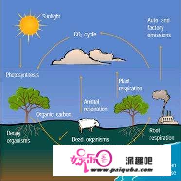 科学家揣测：50亿年后，地球生命完全扑灭！想要活，只要那条逃生道路……