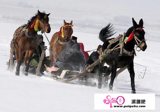 爬犁帮松花江雪道遭遇狼群，扔下狍鹿猪肉当买路钱才打破狼阵