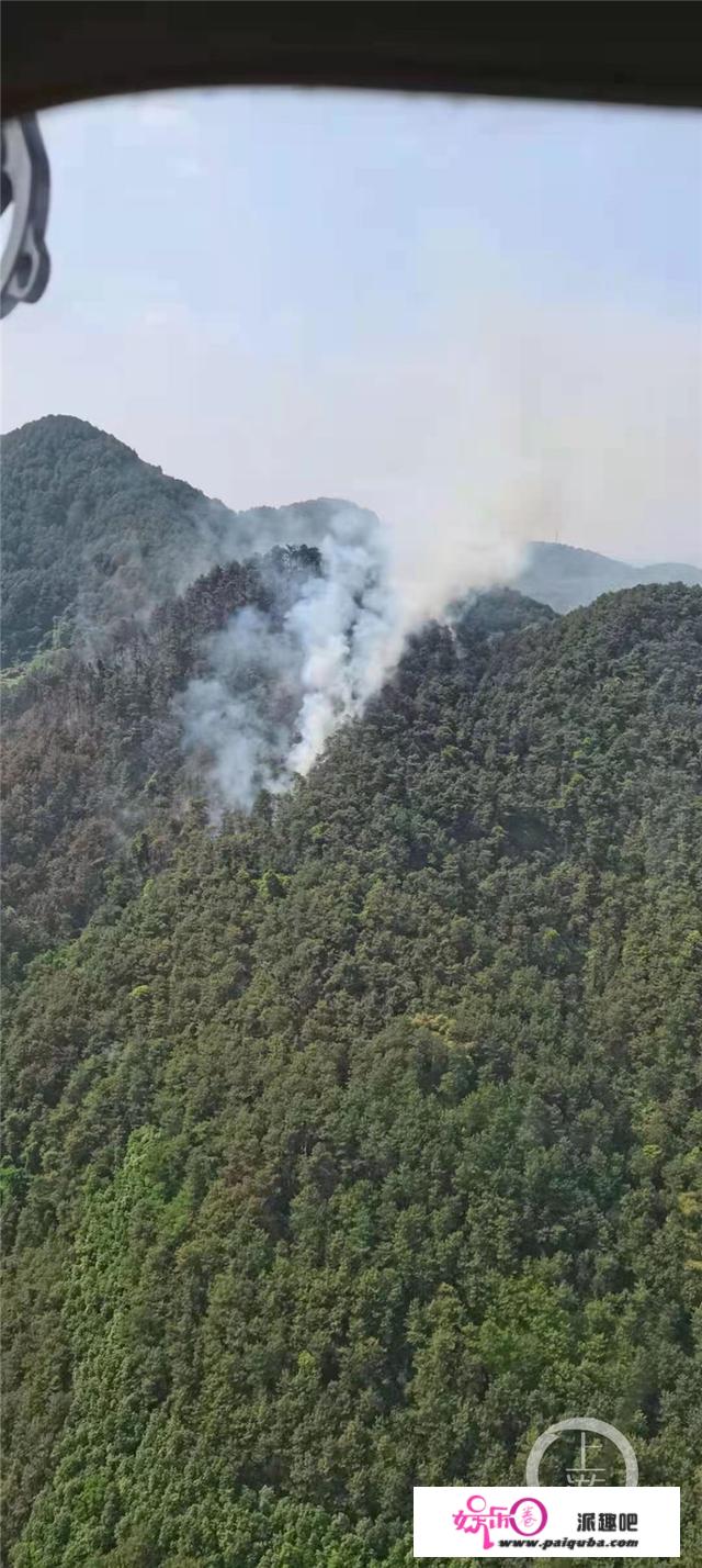 北碚区凤凰村发作丛林火情 曲升机出动救援