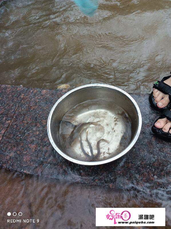 郑州暴雨48小时亲历：悲天悯人说洪灾