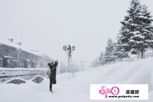 “流离地球”场景再现？北极涡旋发威雪埋北海道，西雅图遇70年最强暴雪