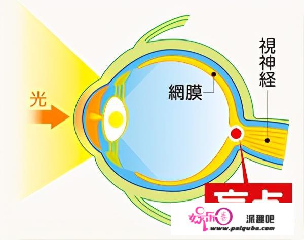 科学家发现：人类进化到如今，身体还存在7个缺陷，你晓得几个？