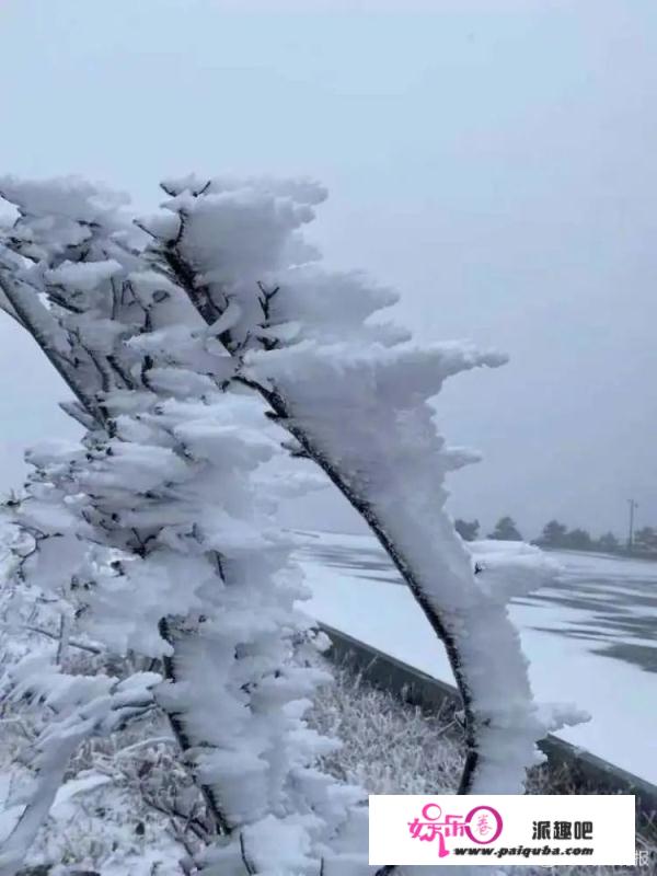 上海下雪了！后天更低-6 ℃