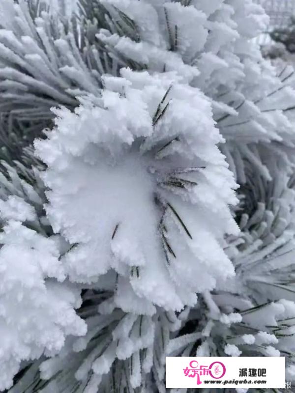 上海下雪了！后天更低-6 ℃