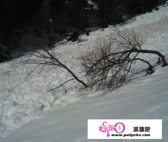 雪崩到底有多可怕？若何应对积雪雪崩？