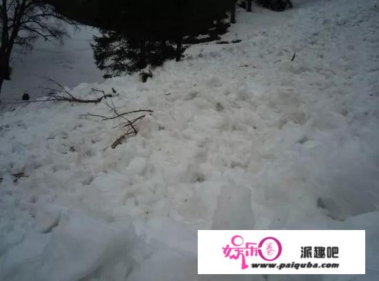 雪崩到底有多可怕？若何应对积雪雪崩？