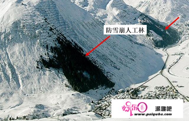 片子强调雪崩的能力了吗？雪崩时，我们应该怎么办？