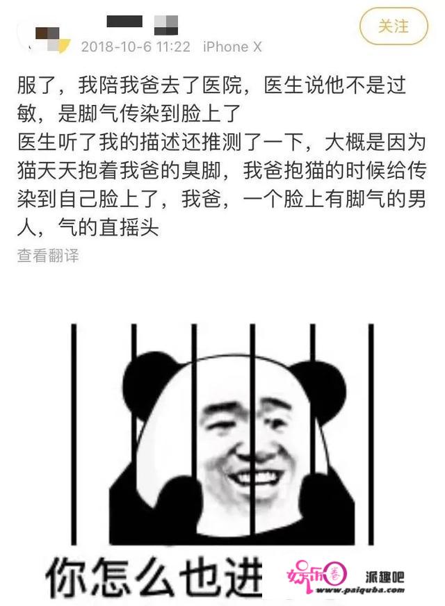 妹子脚臭熏飞自家猫，全国网友：隔着屏幕我也吐了…