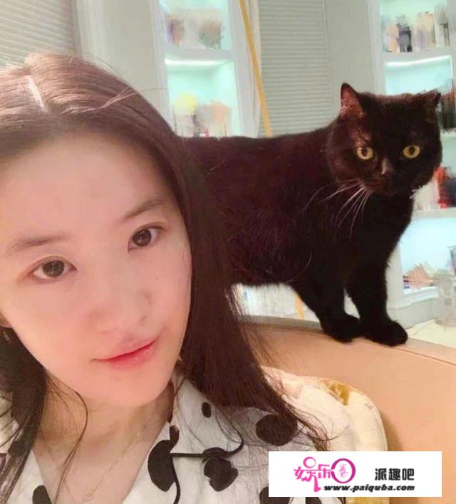 富婆甘薇把小奶猫当笛子吹！猫咪张嘴嚎叫四肢乱颤，连尾巴都在抖