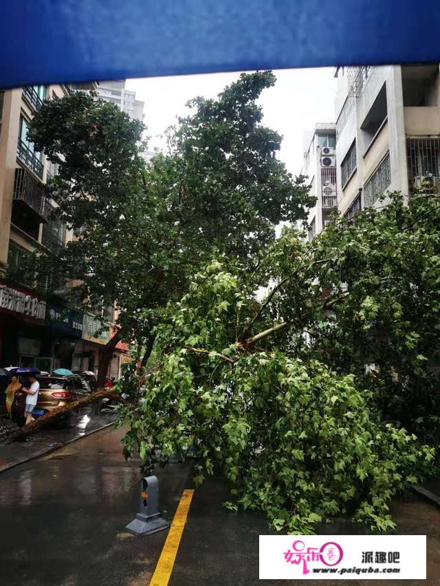 郑州暴雨惊魂：有人地铁里求救“被困车厢、水淹到腰”的女儿，有人履历北京721和武汉疫情封城再遇暴雨