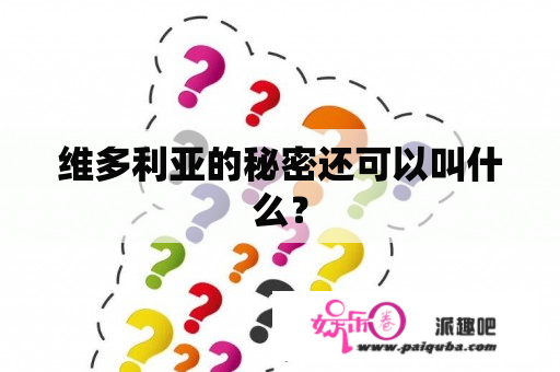 维多利亚的秘密还可以叫什么？