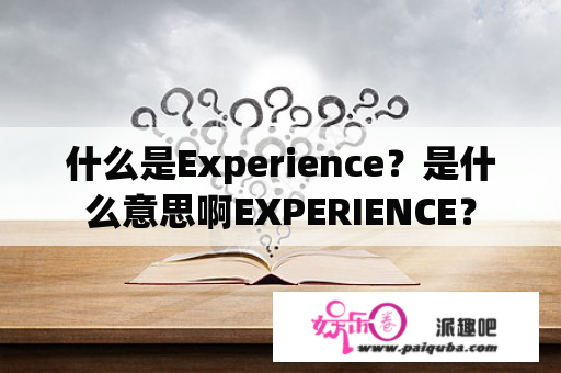 什么是Experience？是什么意思啊EXPERIENCE？