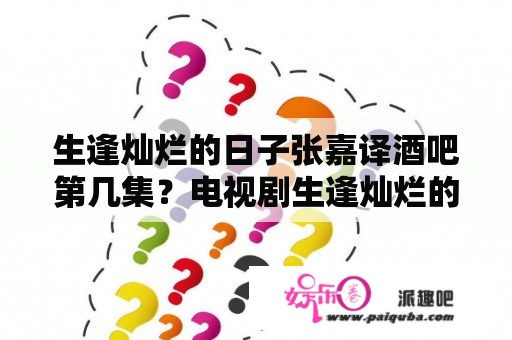 生逢灿烂的日子张嘉译酒吧第几集？电视剧生逢灿烂的日子里小范是谁演的？