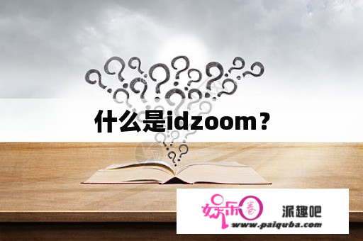 什么是idzoom？