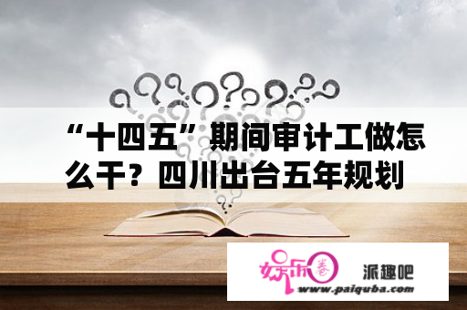 “十四五”期间审计工做怎么干？四川出台五年规划