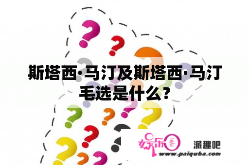 斯塔西·马汀及斯塔西·马汀毛选是什么？