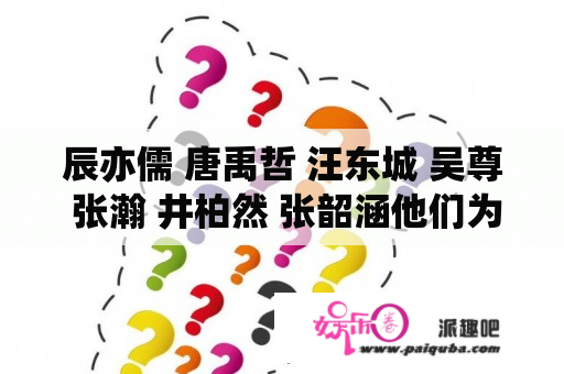 辰亦儒 唐禹哲 汪东城 吴尊 张瀚 井柏然 张韶涵他们为什么不参加舞动奇迹?