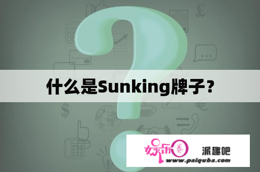 什么是Sunking牌子？