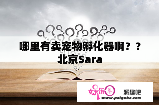 哪里有卖宠物孵化器啊？？北京Sara