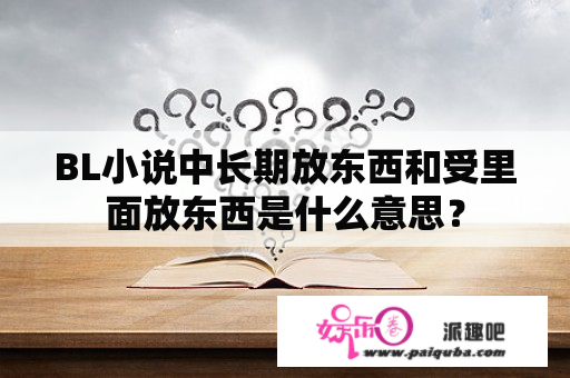 BL小说中长期放东西和受里面放东西是什么意思？