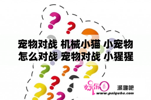 宠物对战 机械小猫 小宠物怎么对战 宠物对战 小猩猩