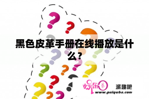 黑色皮革手册在线播放是什么？