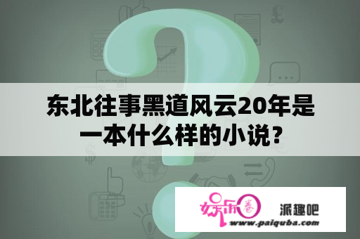 东北往事黑道风云20年是一本什么样的小说？