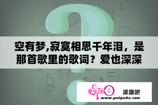 空有梦,寂寞相思千年泪，是那首歌里的歌词？爱也深深恨也深深歌词？