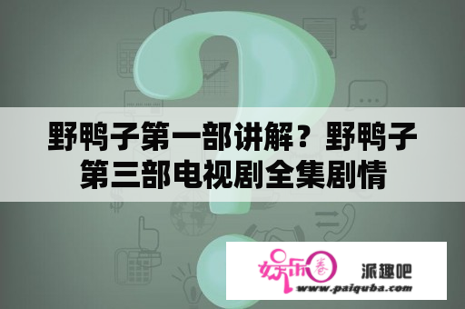 野鸭子第一部讲解？野鸭子第三部电视剧全集剧情