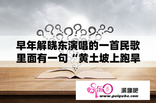 早年解晓东演唱的一首民歌里面有一句“黄土坡上跑旱船