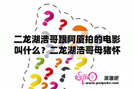 二龙湖浩哥跟阿厦拍的电影叫什么？二龙湖浩哥母猪怀孕是什么电影？