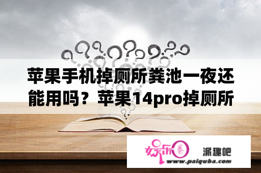 苹果手机掉厕所粪池一夜还能用吗？苹果14pro掉厕所里了正确处理方法？