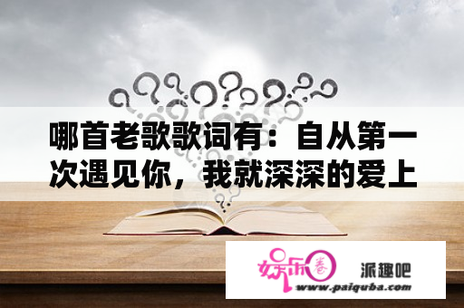 哪首老歌歌词有：自从第一次遇见你，我就深深的爱上你，常常在梦里遇见你………”注：不是张洪量的“你...