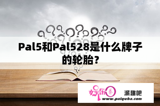 Pal5和Pal528是什么牌子的轮胎？