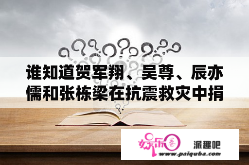 谁知道贺军翔、吴尊、辰亦儒和张栋梁在抗震救灾中捐了多少钱？急啊！！