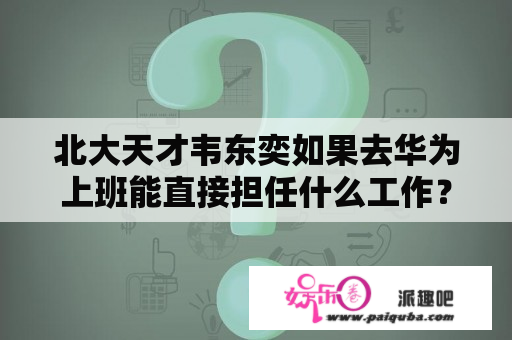 北大天才韦东奕如果去华为上班能直接担任什么工作？工资会有多少？