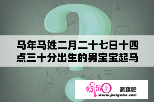 马年马姓二月二十七日十四点三十分出生的男宝宝起马雨涵飞怎么？