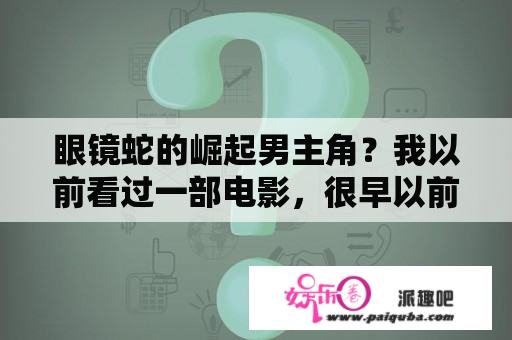 眼镜蛇的崛起男主角？我以前看过一部电影，很早以前，只记得一个情节，貌似得抓罪犯，两个人穿上了最新的装备，是铠甲，这里面？