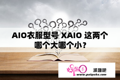 AIO衣服型号 XAIO 这两个哪个大哪个小？