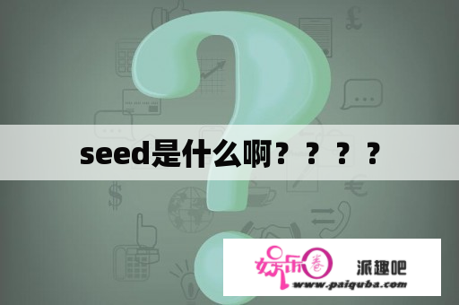 seed是什么啊？？？？