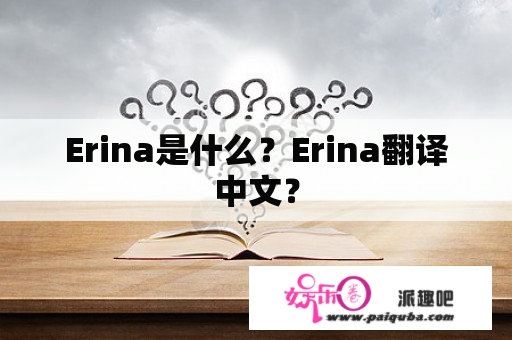 Erina是什么？Erina翻译中文？