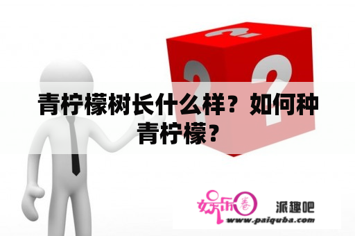 青柠檬树长什么样？如何种青柠檬？