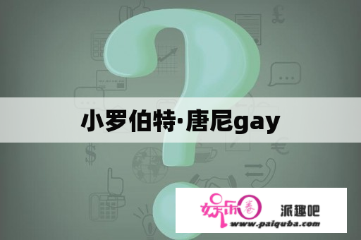 小罗伯特·唐尼gay