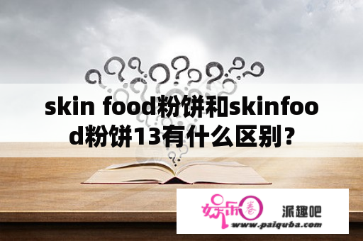 skin food粉饼和skinfood粉饼13有什么区别？