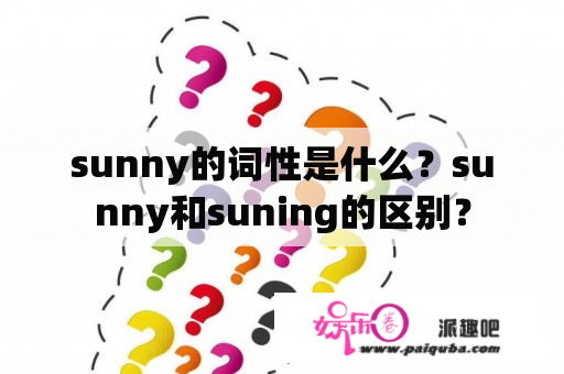 sunny的词性是什么？sunny和suning的区别？