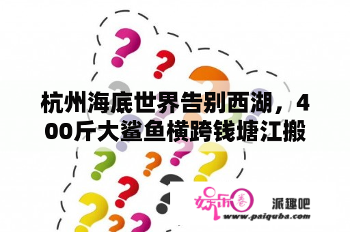 杭州海底世界告别西湖，400斤大鲨鱼横跨钱塘江搬到新家