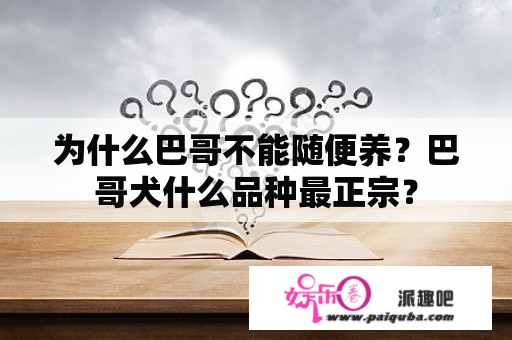 为什么巴哥不能随便养？巴哥犬什么品种最正宗？